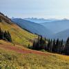 Mt Cheam