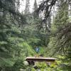 Taylor Meadows trail
