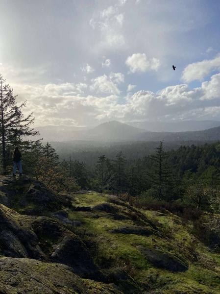Mount Stewart & Scafe Hill