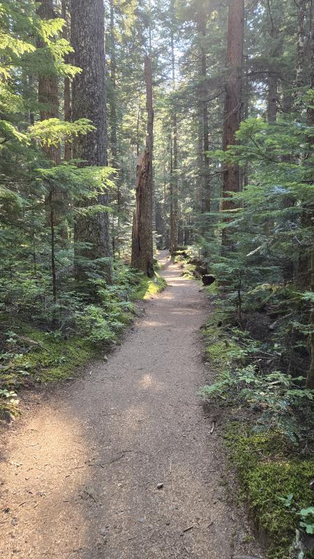 Cheakamus Lake Rd Trail