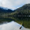 Joffre lakes trail