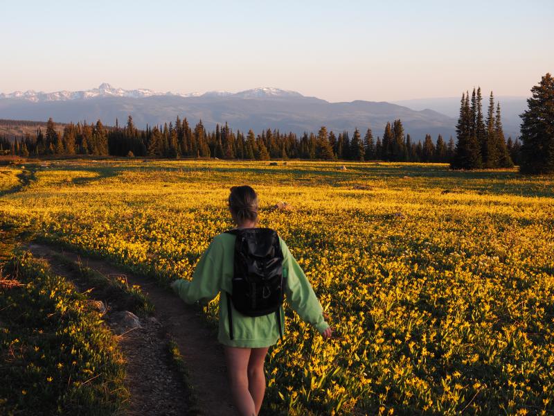 Trophy Meadows Trail