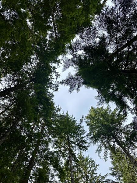 Chehalis Lake