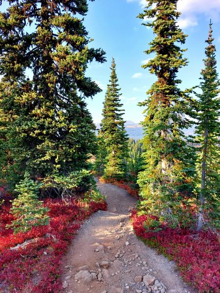 Paintbrush Trail