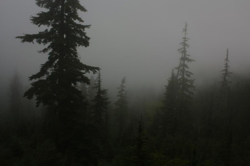 McNair Lake Trail