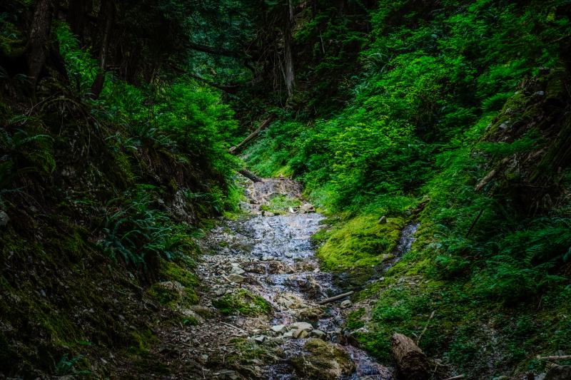 Baden-Powell Trail