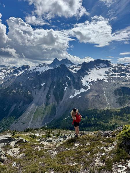 Brandwine Mountain Trail
