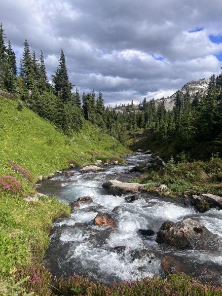 19 Mile Creek Trail, Whistler
