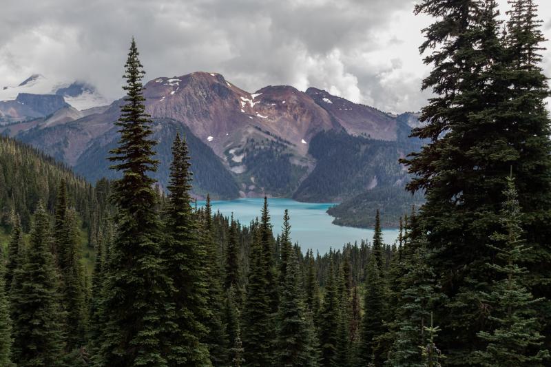 Panorama Ridge Via Taylor Meadows