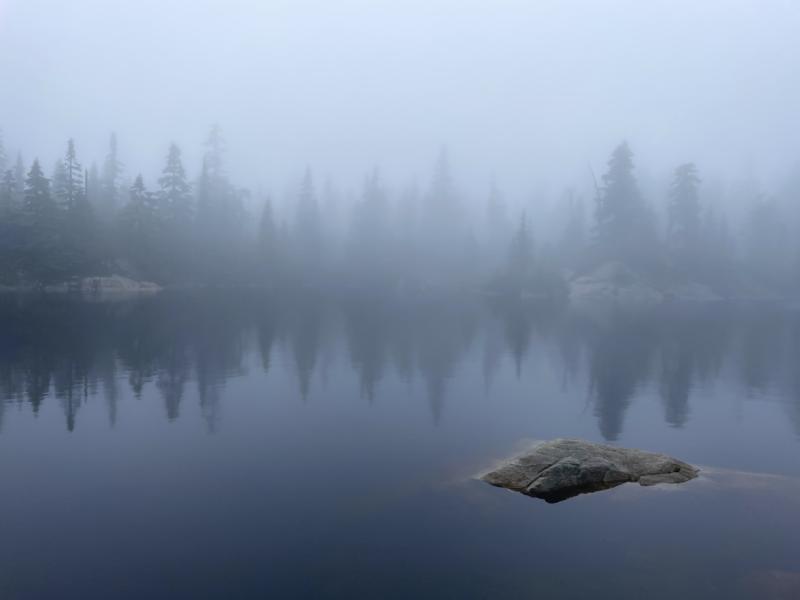 Eagle Bluffs Cypress