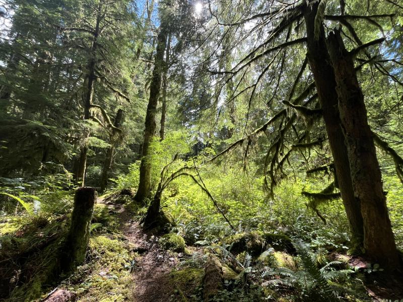 Sunshine Coast Trail