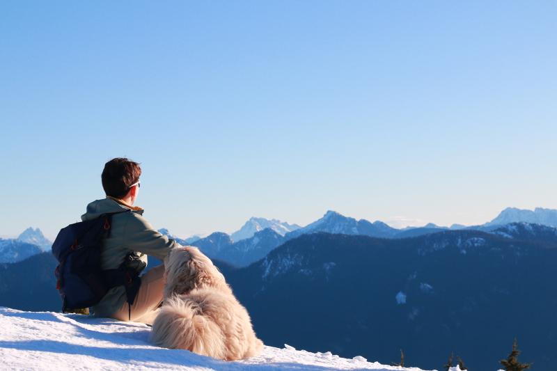 Mount Seymour Hiking Trail