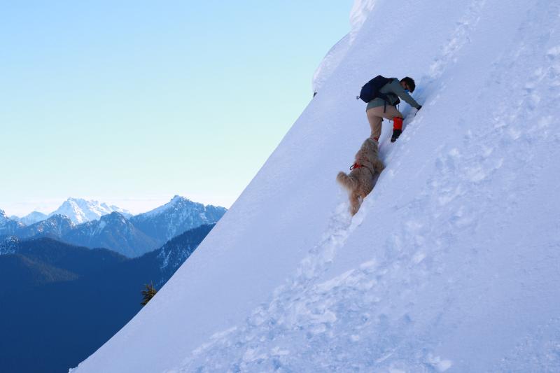 Mount Seymour Hiking Trail