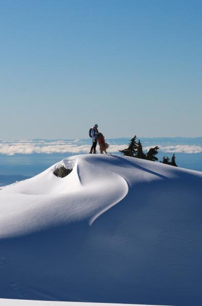 Mount Seymour Hiking Trail