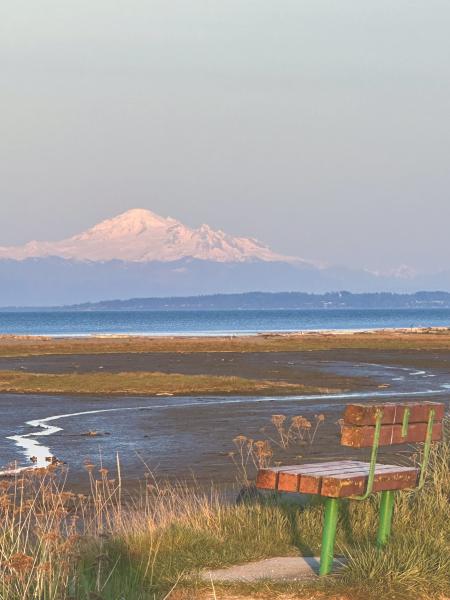 Boundary Bay Centennial Beach