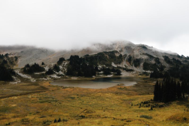 Taylor Meadows Trail