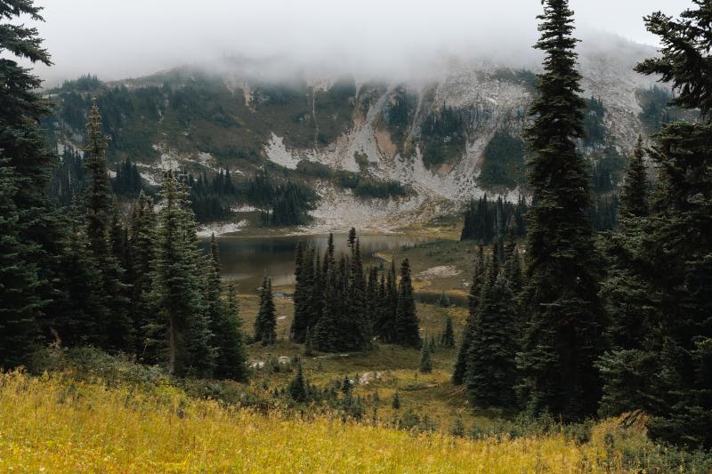 Taylor Meadows Trail