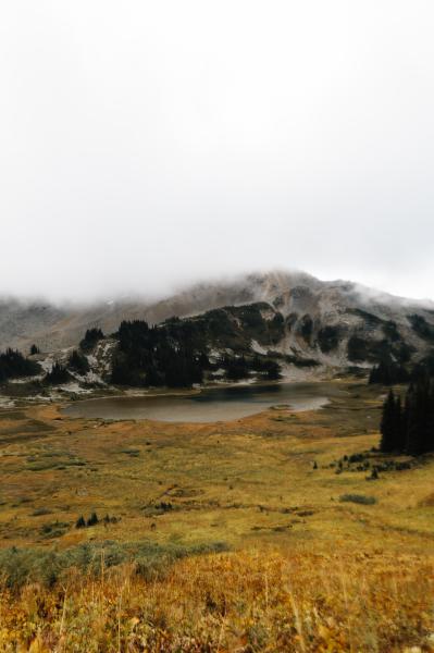 Taylor Meadows Trail