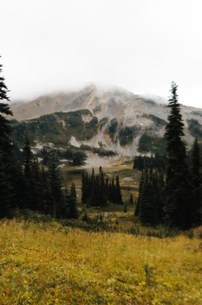 Taylor Meadows Trail