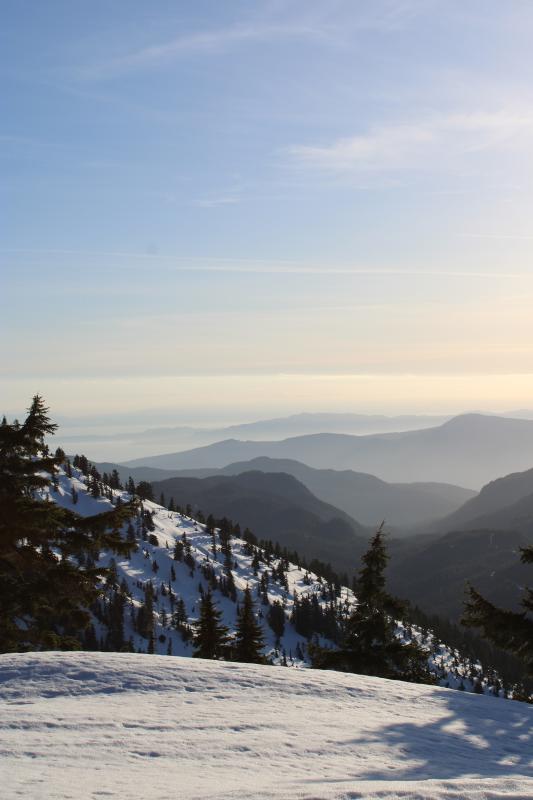 Mount Steele Via Edwards Lake Trail