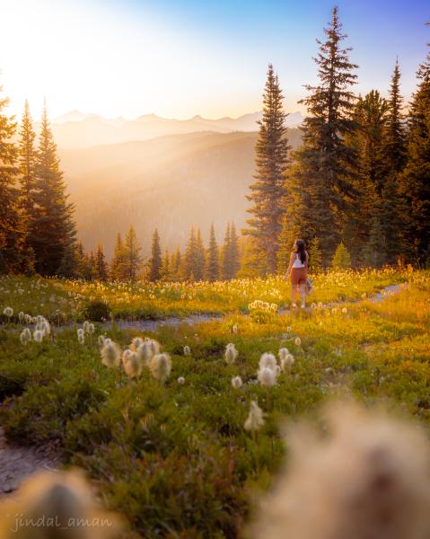 Viewpoint Loop- Heather Trail