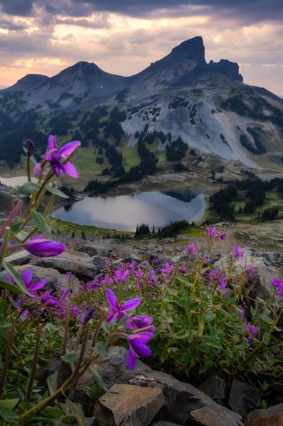 Panorama Ridge Trail
