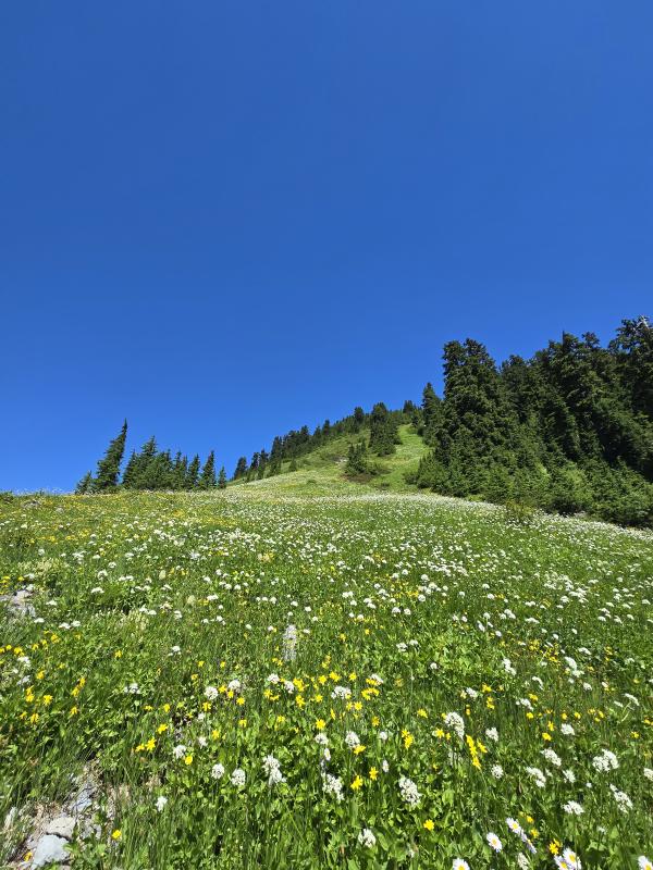 Elfin Lake To Opal Cone