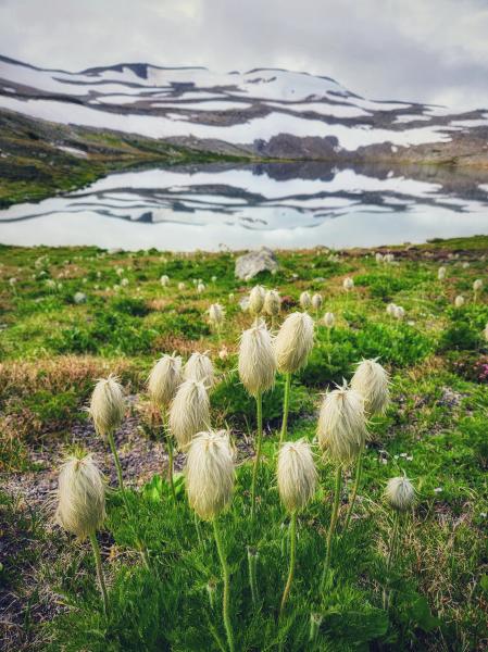 Russet Lake Via High Note + Musical Bumps