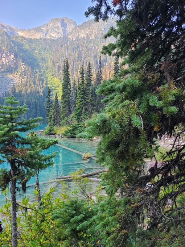 Joffre Lake