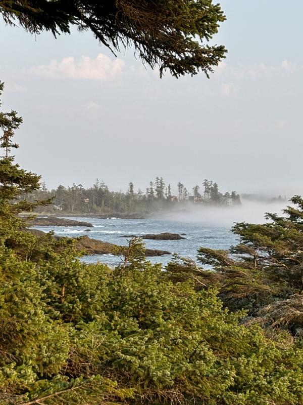 Ancient Cedars Loop Trail