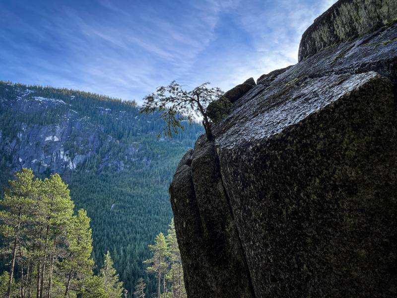 Stawamus Chief Trail
