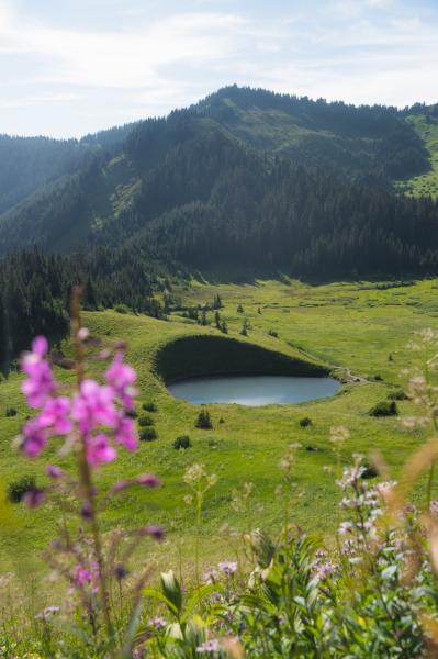 Cheam Peak Via Mount Cheam Trail