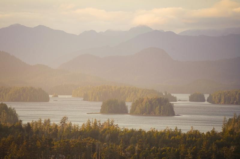 Cox Bay Trail And Lookout