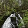 Stealhead falls trail