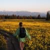 Trophy Meadows Trail