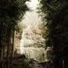 Bridal Veil Falls