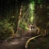 Tod Inlet Trail