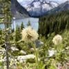 Rohr Lake