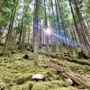 Chehalis Lake