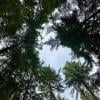 Chehalis Lake