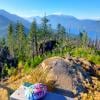 Harrison Lookout Trail