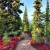 Paintbrush Trail