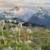 Russet Lake via Musical Bumps