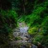 Baden-Powell Trail