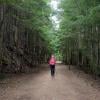 Tunnel Bluffs trail