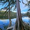 Buntzen Lake