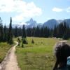 Cheakamus Lake Trail