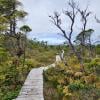 North Coast Trail