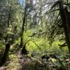 Sunshine Coast Trail