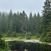 Dog Mountain Trail